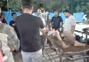 Pitbull Dog Attack: पिटबुल कुत्ते ने सातवीं कक्षा के छात्र को 16 जगह काटा