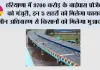Haryana Road Projects: हरियाणा में 9700 करोड़ के बाईपास प्रोजेक्ट को मंजूरी, इन 5 शहरों को मिलेगा फायदा, जमीन अधिग्रहण से किसानों को मिलेगा मुआवजा