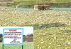 तालाब को दूषित करने से बाज नही आ रहे कुछ लोग, प्रशासन की चेतावनी बेअसर