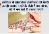 Mehndi Business: अमेरिका में सॉफ्टवेयर इंजीनियर की मेहंदी से तगड़ी कमाई, 1 घंटे के लेती हैं 100 डॉलर; 10 घंटे में बन जाते हैं 1 लाख रुपये