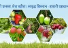 मेरी फसल-मेरा ब्यौरा पर पंजीकरण करवाने का समय खत्म, अभी भी  बड़ी संख्या में ऑनलाइन एंट्री बाकी 