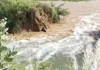 Sheranwali River: दड़बा कलां के पास शेरांवाली नहर टूटी, 25 एकड़ धान की फसल में जलभराव