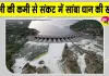 Samba Paddy Farming: नहरों में पानी की कमी से संकट में सांबा धान की खेती 