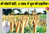 Organic Farming: बैंक की नौकरी छोड़ी, मिट्टी से जोड़ा नाता, 12 एकड़ में कर रहे प्राकृतिक खेती