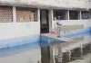 मालदा में बाढ़ का कहर, परिवारों में कोहराम; गंगा के कटाव से बढ़ी चिंता