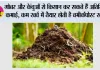Agricultural News: गोबर और केंचुओं से किसान कर सकते हैं अतिरिक्त कमाई, कम खर्च में तैयार होती है वर्मीकंपोस्ट खाद