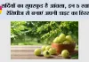 सर्दियों का सुपरफूड है आंवला, इन 5 स्वादिष्ट रेसिपीज से बनाएं अपनी डाइट का हिस्सा