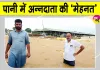 Haryana Punjab Weather News: प्राकृतिक आपदा ने पानी में मिलाई हरियाणा-पंजाब के किसानों की मेहनत