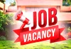 DSSSB Vacancy 2026: डीएसएसएसबी में 641 पदों पर निकली भर्ती, 6 अक्टूबर से शुरू होंगे आवेदन; जानें योग्यता और पूरी डिटेल