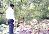 नहर किनारे फेंकी मिलीं जहरीली कृषि दवाइयां और बीज