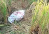 Heroin: सीमा पार से ड्रोन के जरिए आई 10.750 किलो हेरोइन बरामद