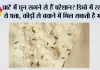 Flour Storage Tips: आटे में घुन लगने से हैं परेशान? डिब्बे में रख दें ये पत्ता, कीड़ों से बचाने में मिल सकती है मदद