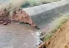 मम्मड़ खेड़ा में माइनर टूटी, 50 एकड़ में भरा पानी; नरमे और सरसों की फसल पर संकट