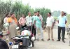 Kairana Theft News: शेखूपुरा के जंगल से दस खंभों के तार काट ले गए चोर