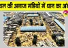PR Paddy News: कैथल की अनाज मंडियों में बढ़ा धान का दबाव, धीमे उठान से किसानों की बढ़ी परेशानी
