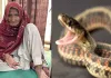 Snake News: सफाई कर रही वृद्धा को सांप ने डसा, हालत सामान्य