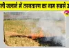 Stubble Burning: पराली जलाने के मामले में तरनतारन सबसे आगे, पंजाब में 1,007 मामले दर्ज