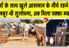 Aashiyana Campaign: इंसानियत की सेवा का उदाहरण बनी आशियाना मुहिम