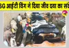 MSG आईटी विंग के सेवादारों ने की बेसहारा पशुओं की सेवा