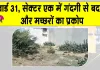 वर्षों से खाली प्लॉट बना परेशानी, कचरे और झाड़ियों से आसपास के लोग परेशान 