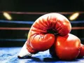 Olympics 2028: 'पदक विजेताओं' को 'वर्ल्ड बॉक्सिंग चैंपियनशिप 2027' में मिलेगी सीधी एंट्री