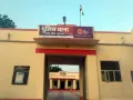 खेत से काटे खेजड़ी के 15 पेड़, कृषक ने पड़ोसी पर पेड़ों की चोरी और अतिक्रमण का लगाया आरोप