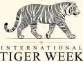 International Tiger Week: 5वां रॉयल रणथंभौर इंटरनेशनल टाइगर वीक (आईटीडब्ल्यू) 26 जून से