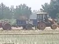 मिट्टी खनन की वीडियो वायरल, कार्यवाही की मांग