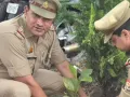 'एक पेड़, माँ के नाम' अभियान के तहत लगाए गए पौधे