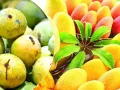 Aam Mahotsav: लखनऊ में सजेगा उत्तर प्रदेश आम महोत्सव, सीएम योगी करेंगे शुभारंभ