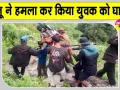 Bear Attack: बगीचे में पहुंचा अचानक भालू, युवक की चीख-पुकार सुन मौके पर पहुंचे ग्रामीण