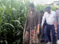 Sweet Corn Farming: टिहरी में ‘कॉर्न विलेज’ मॉडल से खेती को नई उड़ान, स्वीट कॉर्न से किसानों की बढ़ेगी आमदनी