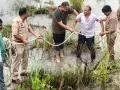 गंगा बैराज पर आत्महत्या का प्रयास नाकाम, रामराज पुलिस ने 55 वर्षीय बुजुर्ग की बचाई जान