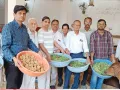 असहाय-बीमार गोवंश को खिलाया हरा चारा-गुड़ 