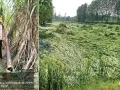 आधे घंटे के तूफान ने मचाई तबाही, खेतों में फसलें बिछीं, विद्युत पोल टूटे, आपूर्ति ठप