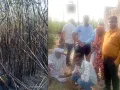 विद्युत लाइन में स्पार्किंग से गन्ने के खेत में लगी आग, 25 बीघा फसल जलकर राख