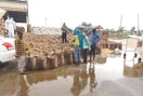 Crop Procurement: धान-कपास की आवक को लेकर आढ़तियों व व्यापारियों ने उठाई ये बड़ी मांग
