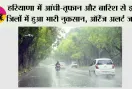 Haryana Weather: हरियाणा में आंधी-तूफान और बारिश से इन जिलों में हुआ भारी नुकसान, ऑरेंज अलर्ट जारी