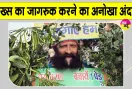 World Environment Day: अपने शरीर को 'पेड़' बनाकर लोगों को जागरूक कर रहा शख्स
