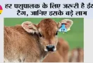 हर पशुपालक के लिए जरूरी है ईयर टैग, जानिए इसके बड़े लाभ