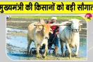 MP Government Scheme: किसानों के खातों में 3,300 करोड़ ट्रांसफर, मुख्यमंत्री की बड़ी सौगात