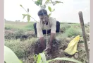 एक साथ छूटा पत्नी और नवजात का साथ, यादों को संजोने के लिए लगाया फलदार पौधा