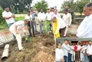शिवाजी प्रेस क्लब द्वारा छछरौली में 'एक पेड़ माँ के नाम' अभियान के तहत किया गया पौधारोपण