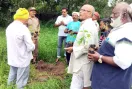 Tree Plantation: ओडिशा की साध-संगत ने पौधारोपण कर मनाया पावन अवतार दिवस