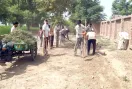 ब्लॉक रतनगढ़ की साध-संगत ने पौधारोपण कर चलाया सफाई अभियान