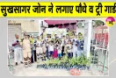 Tree Plantation Campaign: ब्लॉक कल्याण नगर के सुखसागर जोन की साध-संगत ने डिवाइडर पर रोपित किए पौधे 