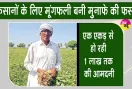 Groundnut farming: मूंगफली की खेती में अच्छी पैदावार व अच्छे भाव मिलने से खिले किसानों के चेहरे