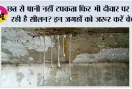 Damp wall solution: छत से पानी नहीं टपकता फिर भी दीवार पर आ रही है सीलन? इन जगहों को जरूर करें चेक
