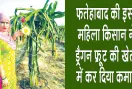 Dragon Fruit Farming: फतेहाबाद की इस महिला ने ड्रैगन फ्रूट की खेती से बदली खेती की तस्वीर, सीएम व कृषि मंत्री करेंगे सम्मानित