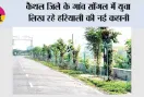 कैथल जिले के गांव सोंगल में युवा लिख रहे हरियाली की नई कहानी